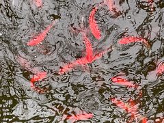 -千龙湖生态旅游度假区