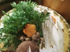寿喜锅-綱元·海鲜豆捞(明州里店)