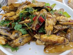 蛏子-渔家乐小海鲜(皇姑店)