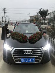 -蚂蚁婚车