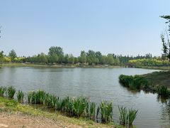-东郊湿地公园