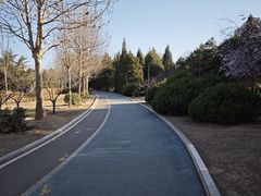 -太阳宫公园
