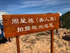 -杨梅坑