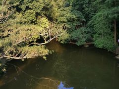 -深圳仙湖植物园-停车场
