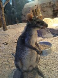 -酷嗒动物文化乐园(cutezoo西溪乐天城店)