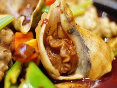 香辣大海螺煲-匠心牛公馆·潮汕牛肉海鲜火锅(索菲特店)
