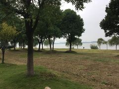 -漕湖湿地公园
