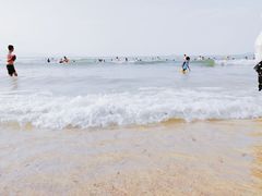 -杨梅坑