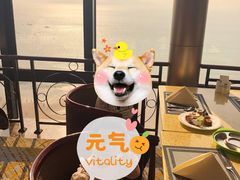 -汇泉王朝大饭店-旋转餐厅(南海路店)