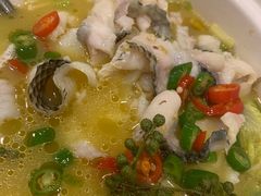 -蜀腾川·火锅鱼.烤鱼(新世界城店)