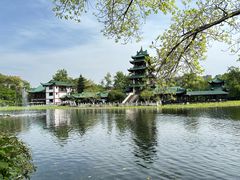 -桂湖森林公园