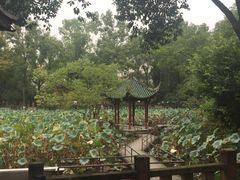 -房湖公园