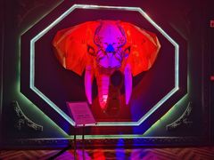 -疯克大象美式烤肉餐厅