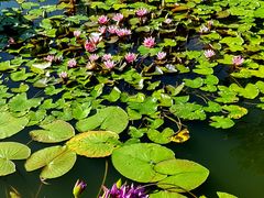 -国家植物园南园