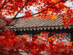 -秋霞圃