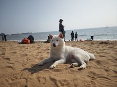-兴城海滨风景区