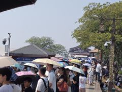 -观潮胜地公园