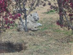 -太原动物园