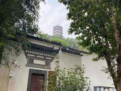 -深圳国际园林花卉博览园