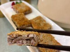 -椿记烧鹅(叠彩店)