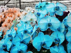 -北京益泉花园酒店