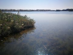 -芒洲湿地公园