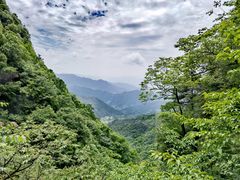 -王顺山国家森林公园
