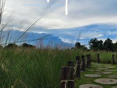 -红花山公园