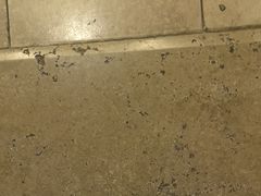 -三亚湾红树林度假世界(木棉酒店)