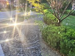 -北京威斯汀酒店