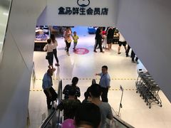 -盒马鲜生(大成店)