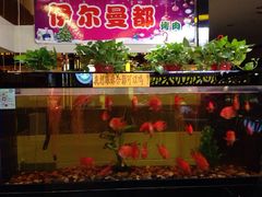 -伊尔曼都自助餐厅(102国道店)