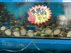 水产区-港畔赶海蒸汽海鲜烧烤自助(仙螺岛店)