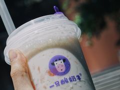 -一只酸奶牛(八一路店)