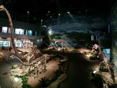 -自贡恐龙博物馆