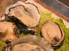 湛江生蚝-金龙·打边炉(南京西路店)