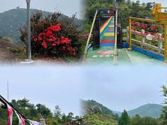 -玉苍山国家森林公园