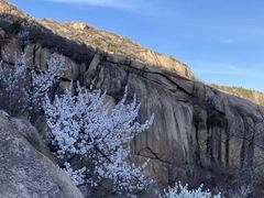-北京凤凰岭