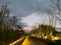 -江心屿景区