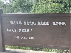 -北京麋鹿生态实验中心