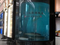 -谭厨中山传家菜.乳鸽.脆鲩鱼(华强北中航城店)