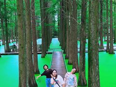 -渌洋湖湿地公园