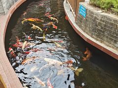 -侠成水上农庄(工业大道店)