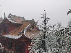 -铁山坪森林公园