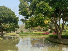 -中国科学院西双版纳热带植物园