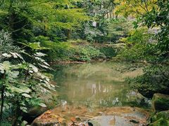 -中国茶叶博物馆(双峰馆区)