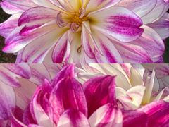 -上海植物园-4号门售票处