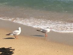 -海云台海滩