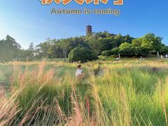 -红花山公园