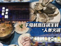 -千岛蚝高压锅生蚝·人参火锅(白云万达店)